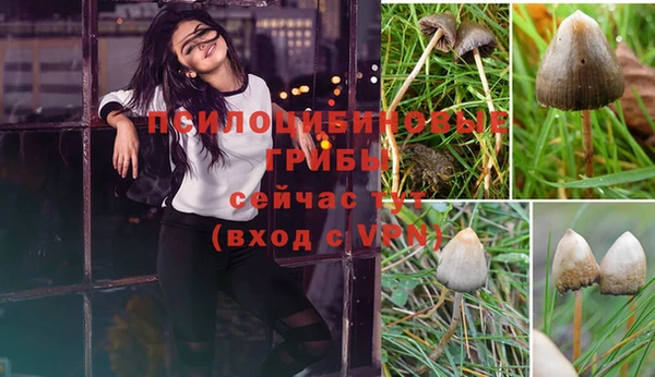 тгк Дмитров