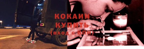кокс Гусев