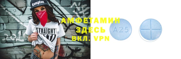 тгк Дмитриев