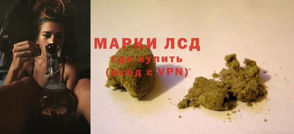 тгк Дмитров