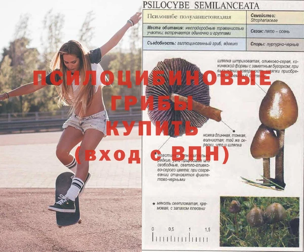амфетамин Гусь-Хрустальный