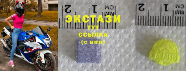 тгк Дмитров